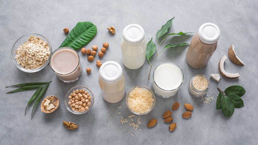 GEA is commissioned by leading French dairy and beverage producer to build a plant for processing oats, rice and soy